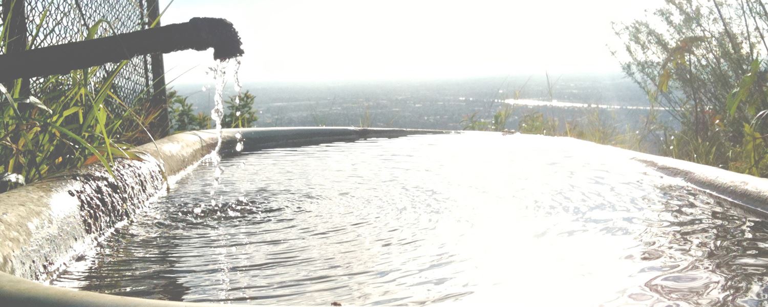 Irrigation water basin