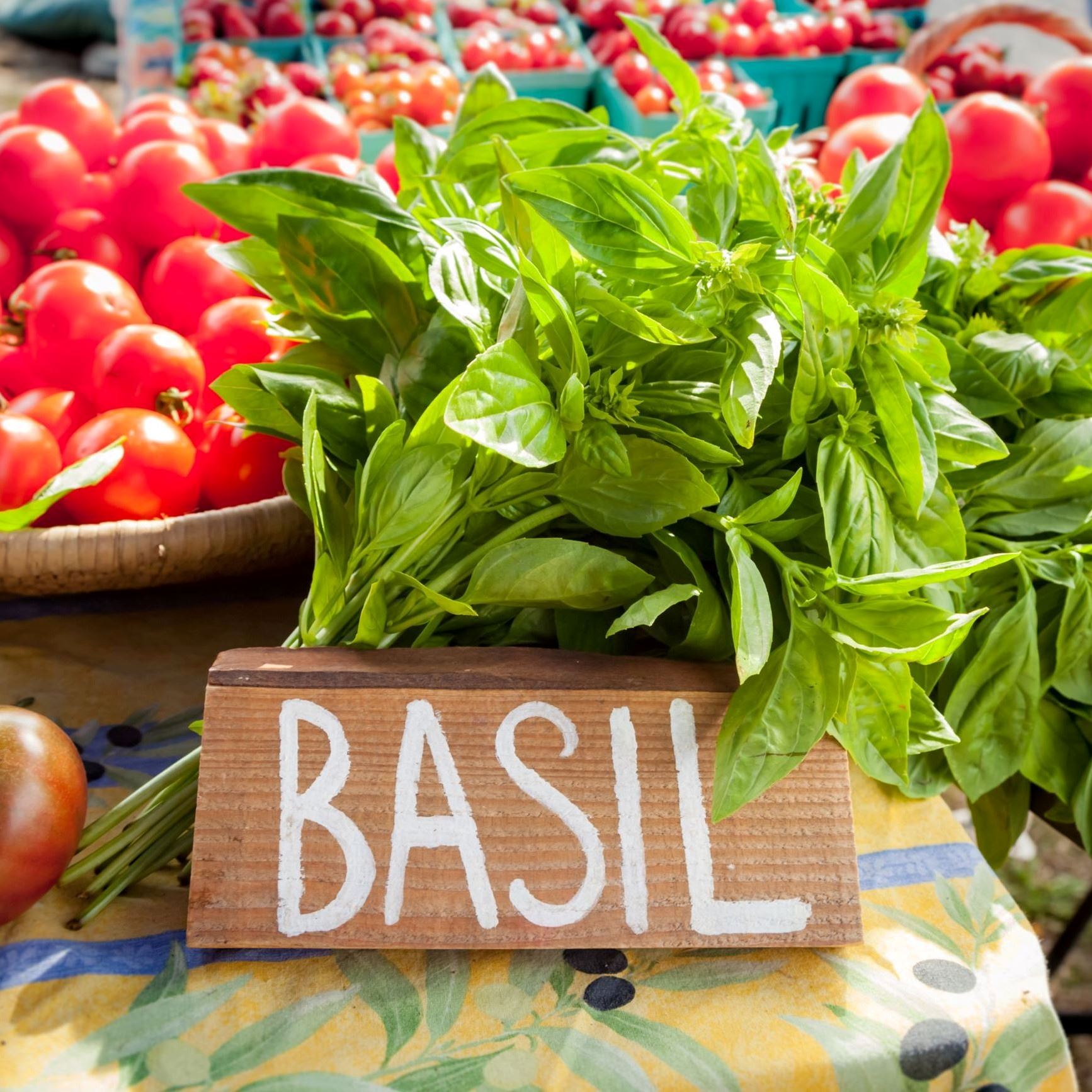 Tomatoes and Basil_small
