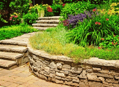 Water wise plants and pavers