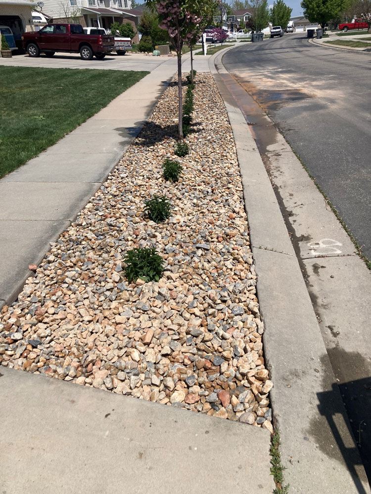 park strip with rocks and plants